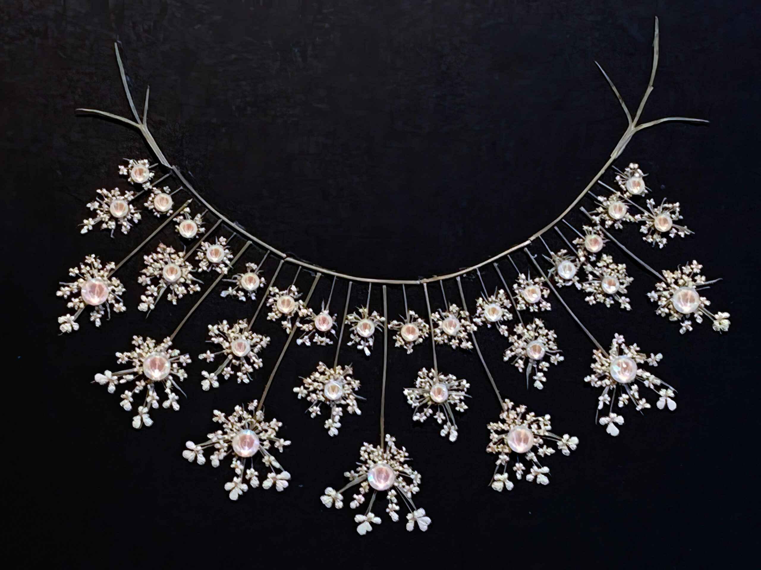 pressed flowers, RBG, Queen Anne's lace