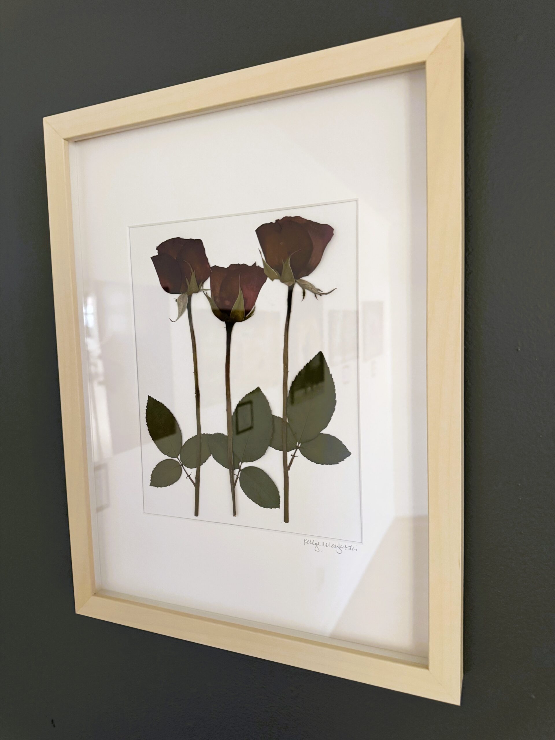 Pressed Botanicals Roses