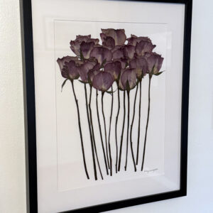A Dozen Roses (Original Pressed Botanical Art)