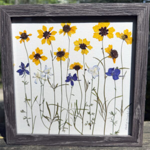 coreopsis and larkspur