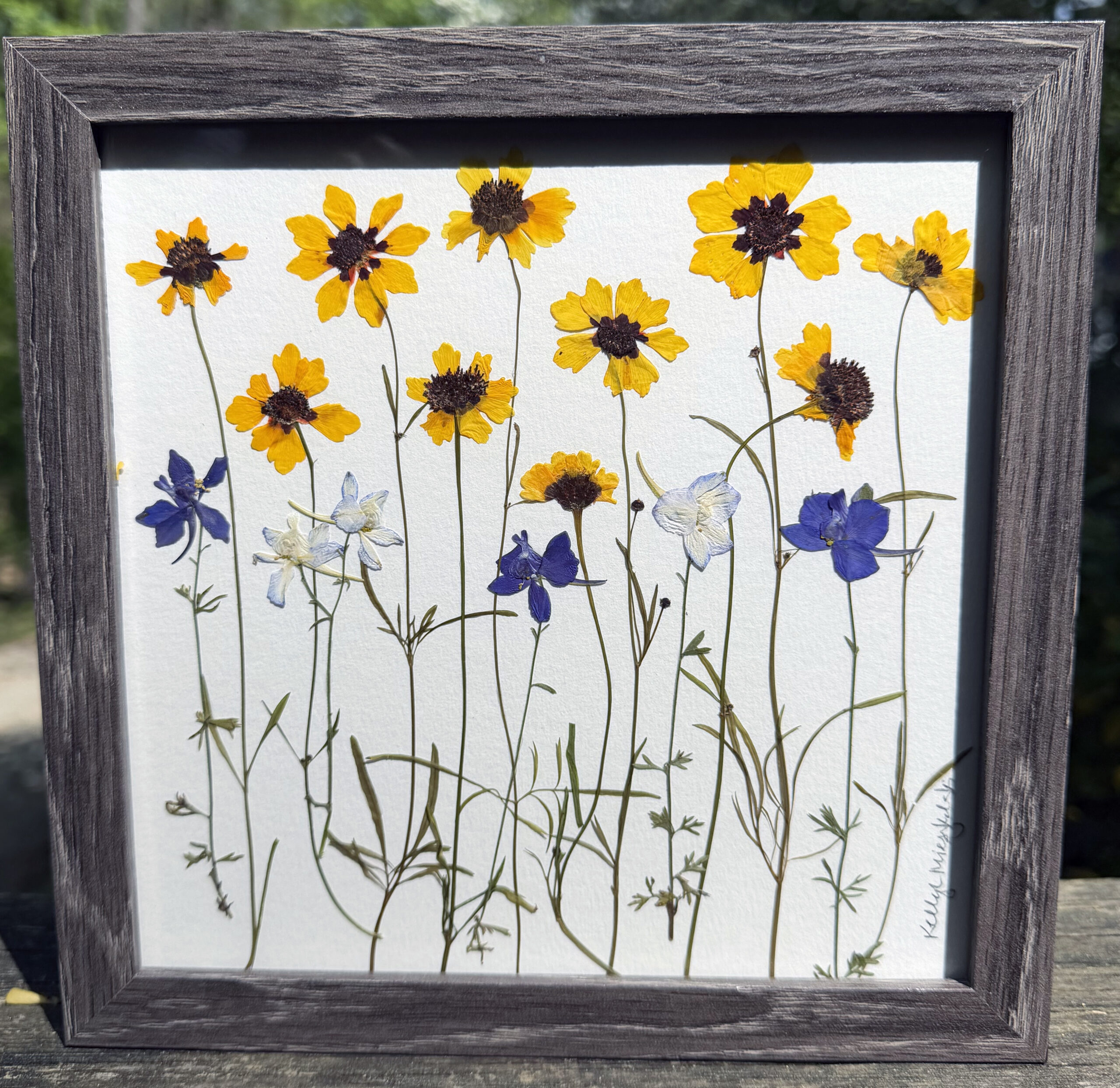 coreopsis and larkspur